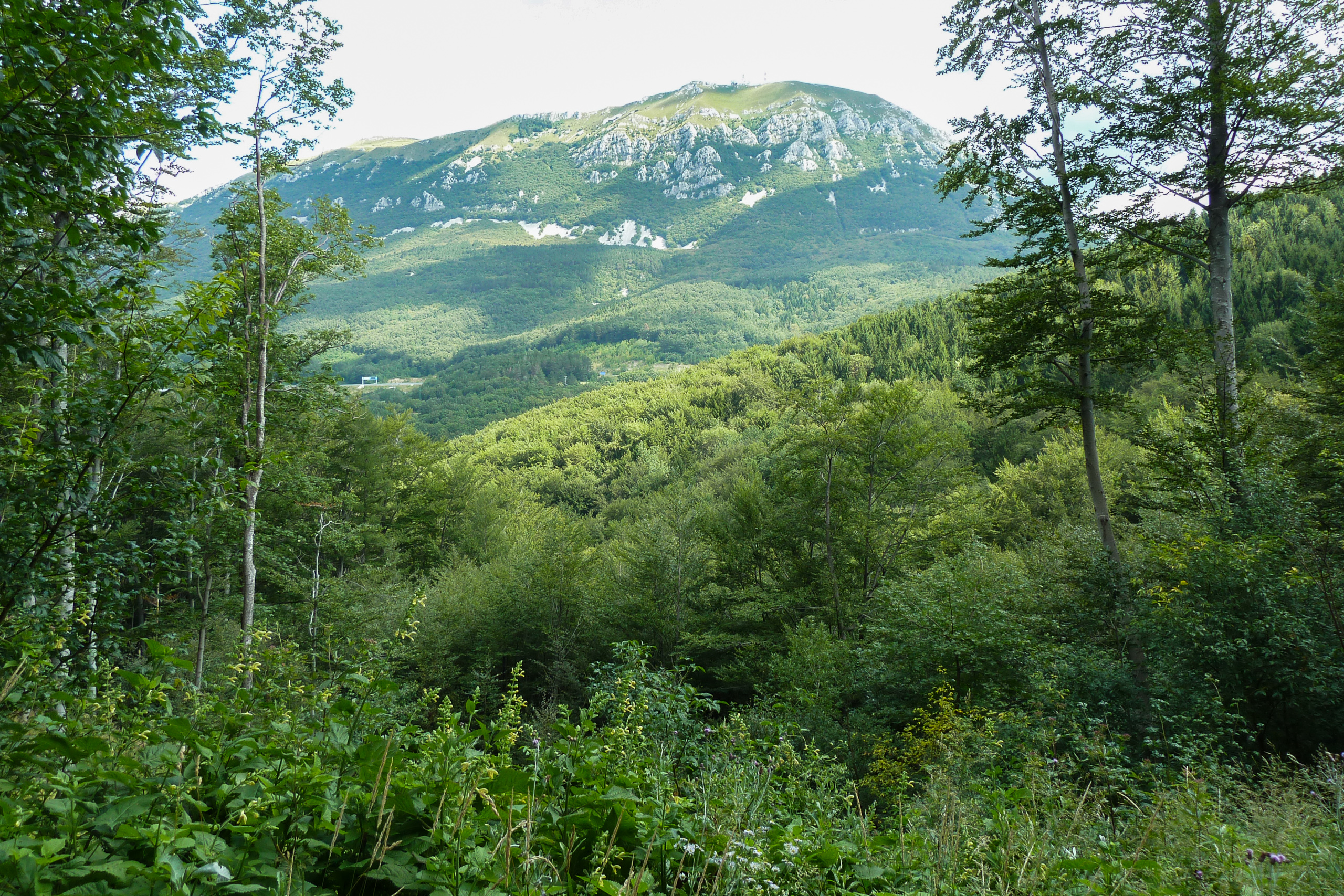 Der Nanos über dem Karst
